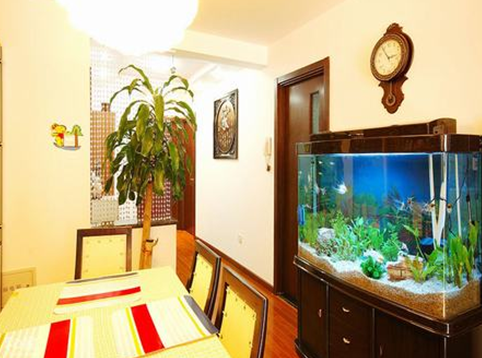fish tank and green plant in living room