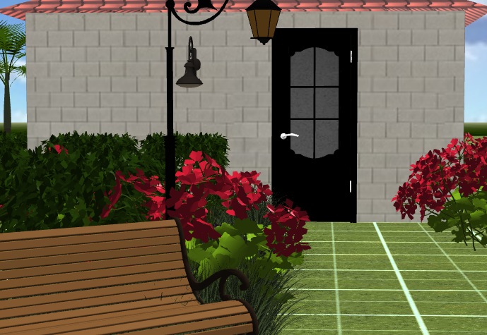 Black color front door