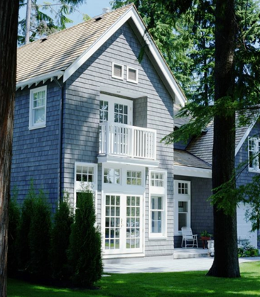 the tree face main door closely