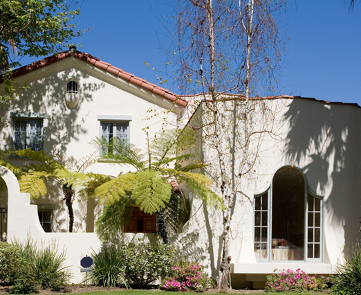 withered tree at front of door